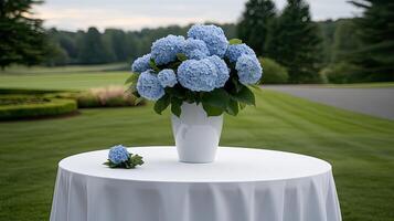 A white table cloth photo