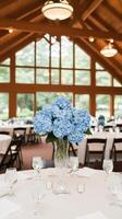 A table with blue flowers in a vase photo
