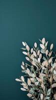 Eucalyptus leaves on a dark blue background photo