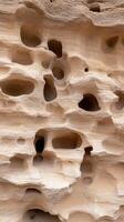 A close up of a rock formation with holes photo
