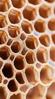 Close up of a honeycomb with honey photo