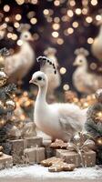 A white peacock standing in front of christmas decorations photo