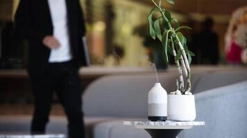 a frio vapor é fluindo acima a partir de a aroma difusor e plantas de interior em mesa. moderno ar umidificador dispositivo às ambiente de trabalho. espaço para texto. aromaterapia conceito. seletivo foco video