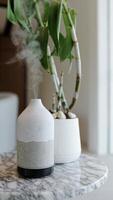 The cold steam is flowing up from the oil aroma diffuser and houseplants on table. Modern air humidifier device at workplace. Space for text, vertical shot. Aromatherapy Concept. video
