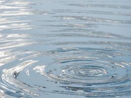 A circular rippling pattern in the water photo