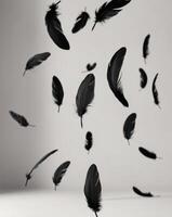 floating black feathers create serene and elegant atmosphere in this image. photo