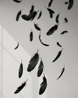 floating black feathers create serene and elegant atmosphere in this image. photo