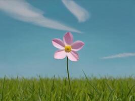 A single pink flower in the middle of a field photo