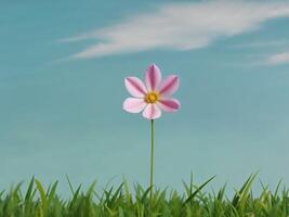 A single pink flower in the middle of a field photo