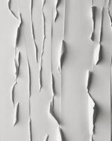 White Torn Paper Texture Background - Minimal Abstract Design photo