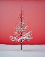 A small red tree is standing in the snow on a red background photo