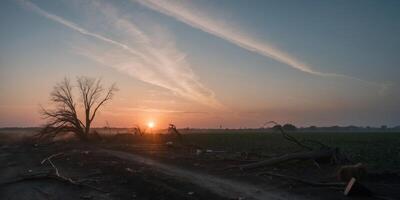 Tornado struck on agricultural fields at sunset photo