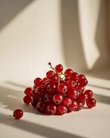 Freshly picked red currants in a cluster photo