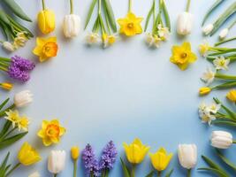 flat lay of spring flowers on blue background with copy space photo