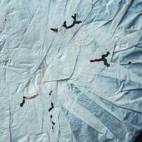 Bold black ink splashes on wrinkled paper create dynamic abstract artistic textures photo