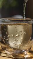 A Refreshing Sparkling Water Served in a Beautiful Glass That Is Ready to Be Enjoyed and Relished photo