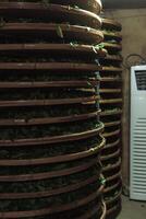 Specialized indoor facilities are used to dry stacks of leaves for optimal results and efficiency photo