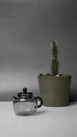A Stylish Teapot and a Chic Cactus Plant Set against a Minimalist Background Shift photo