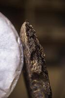 A Detailed CloseUp View of Unique and Textured Natural Materials in Various Forms photo