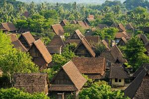 Aerial view of a village with traditional houses and lush greenery. photo