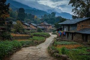 Stone village path, mountain houses, autumn crops. photo