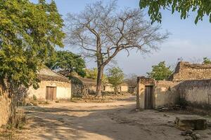 Rustic village street scene with traditional mud houses, a leafless tree, and sandy path. photo