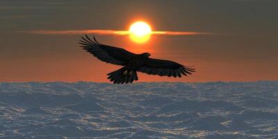 Majestic Hawk Soaring Sunset Over Ocean Waves Landscape photo
