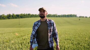 Agronomist walking on field check quality of wheat grain video