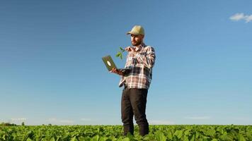 A Farmer Using Advanced Technology in a Vast Green Field of Soybean for Better Crop Management and Growth video
