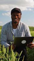 Portrait of African American farmer with laptop in a wheat field. Vertical video