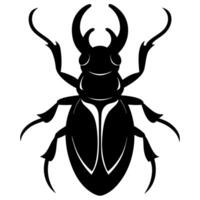 A black and white beetle silhouette on a white background vector