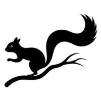 Squirrel on a branch silhouette vector