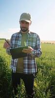 A Farmer Using Advanced Technology in a Vast Green Wheat Field for Better Crop Management and Growth. Vertical video