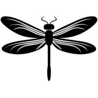Dragonfly silhouette on white background vector