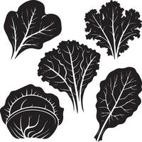 A beautifully designed silhouette image featuring five leafy green vegetables spinach, kale, lettuce, cabbage, and Swiss chard vector