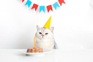 A disgruntled cat in a yellow paper cap sits at a table, a canned cake with a candle stands nearby. photo
