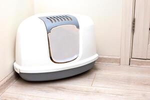 A large, gray, triangular plastic, enclosed litter box for a cat photo