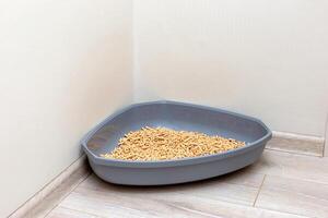 A large gray triangular plastic litter box for a cat photo