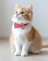 Fluffy orange and white cat wearing red striped bow tie, looking elegant and curious. This charming feline adds playful touch to any setting photo