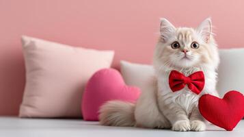 Fluffy Persian cat with red bow tie sitting beside heart shaped cushions, exuding charm and playfulness. Perfect for pet lovers and Valentine Day themes photo