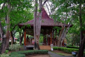 a vibrant garden setting featuring colorful picnic tables in the shade surrounded by lush greenery and shady trees. photo