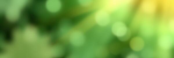 Vibrant green nature background with soft bokeh effect highlighting natural beauty on a sunny day photo