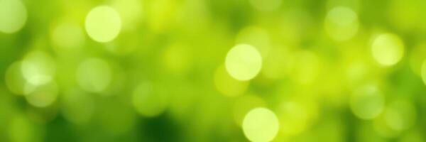 Lush green background with vibrant bokeh effect creating a serene and calming atmosphere in nature photo