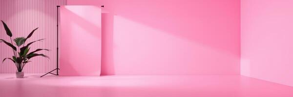 Bright pink studio space featuring a plant and backdrop for creative photography sessions photo