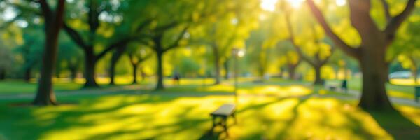 Lush green park in sunny afternoon light with benches and vibrant trees creating a serene environment for relaxation photo