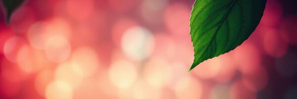 Leaf against a vibrant blurred background showcasing autumn colors with a warm glow photo