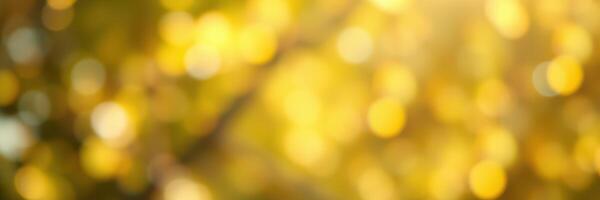Golden autumn leaves shimmer in the sunlight, creating a warm and inviting atmosphere during the fall season photo