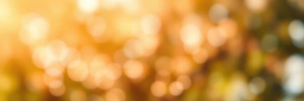 Soft sunlight filtering through leaves creates a dreamy bokeh effect in a serene garden setting during late afternoon photo