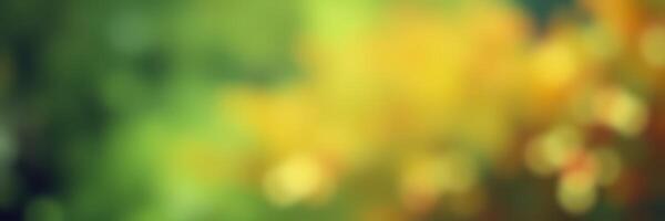 Bright yellow flowers in a lush green garden during a sunny afternoon create a vibrant and cheerful atmosphere photo