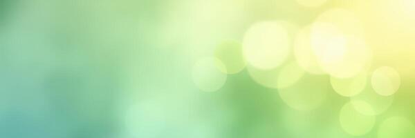 Serene abstract background with soft bokeh effect in calming green and yellow hues photo